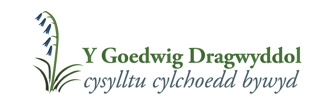 Y Goedwig Dragwyddol