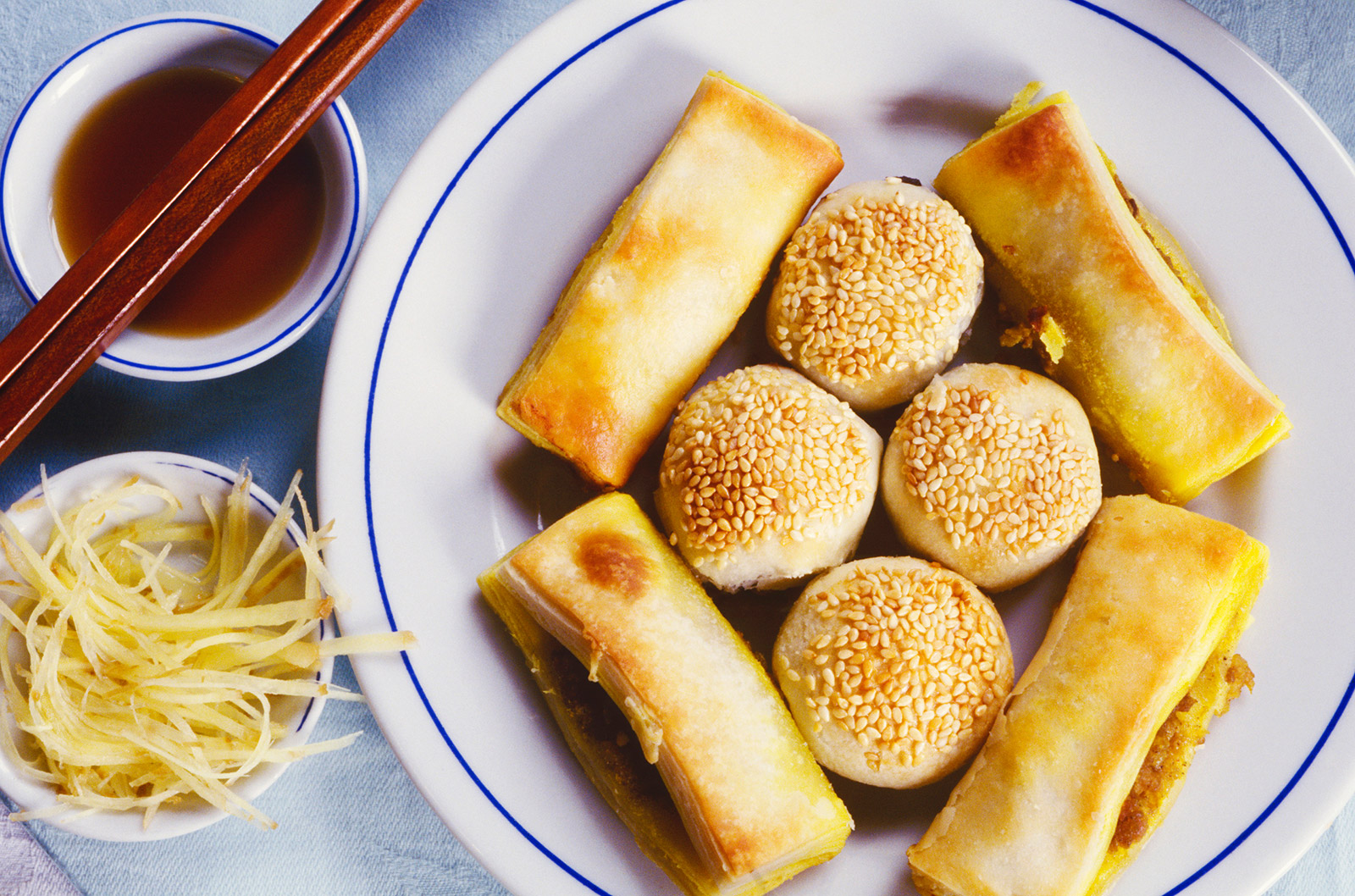 Spring rolls and dumplings