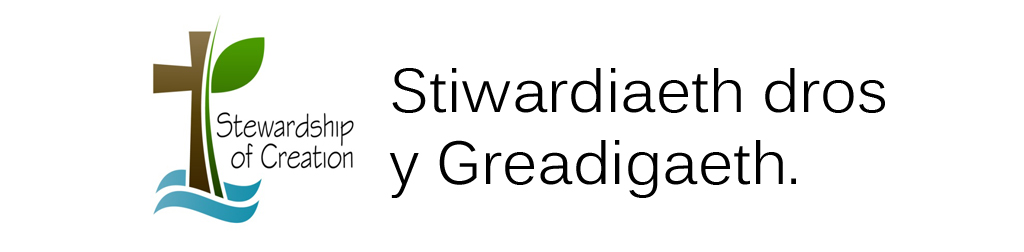 Logo Stiwardiaeth dros y Greadigaeth