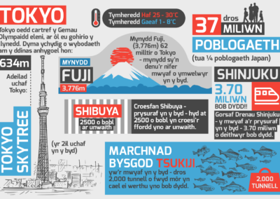 tokyo infographic